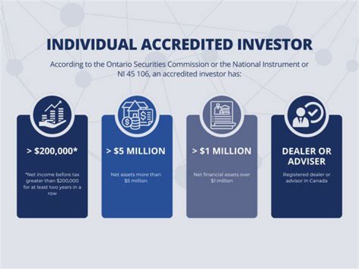 What does individual investor means?
