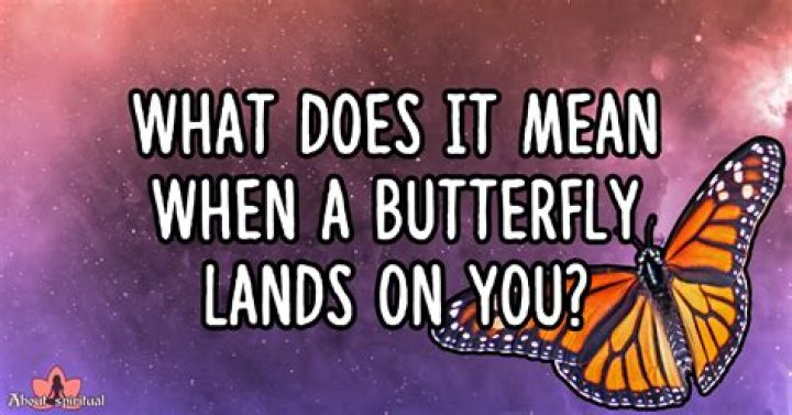 What does it mean if a butterfly lands on you?