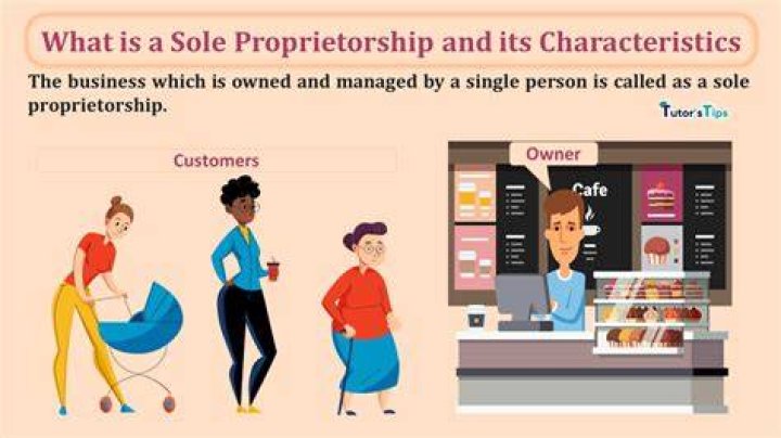 What does it mean to be a sole proprietorship?