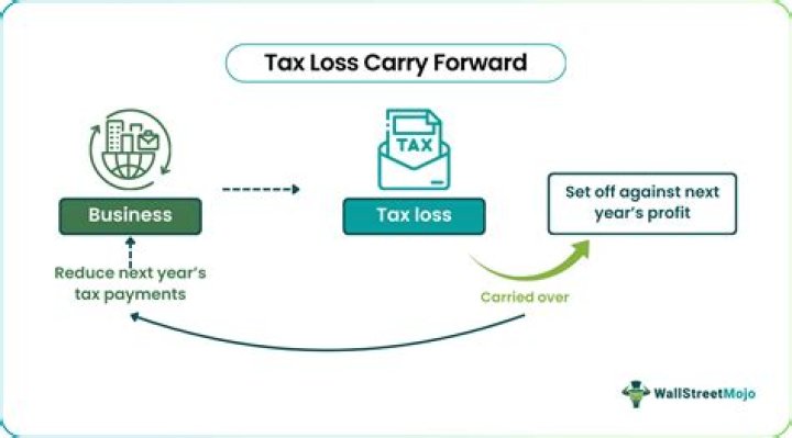 What does it mean to have a tax loss carry forward?