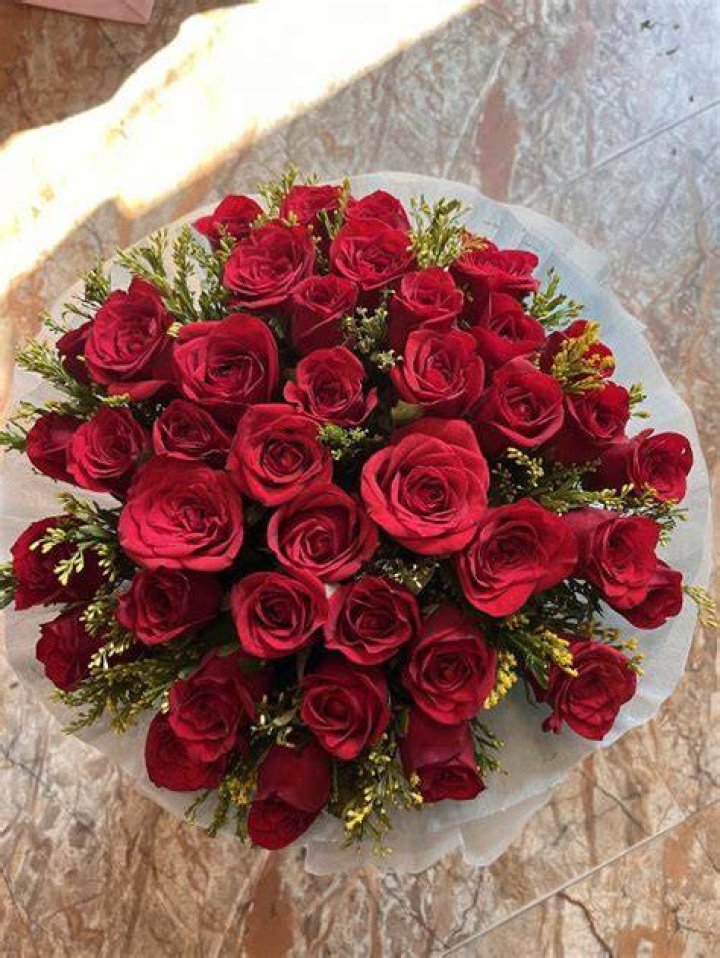 What does it mean when a guy gives you a single red rose?