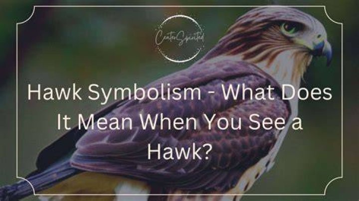 What does it mean when a hawk lands next to you?