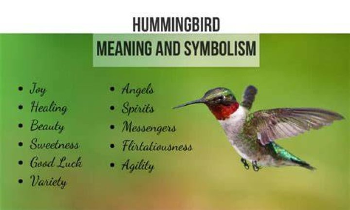 What does it mean when hummingbirds fly around you?