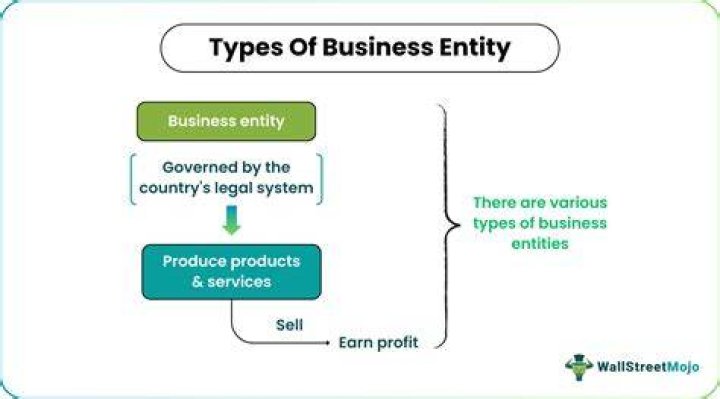 What does it mean when it says business entity?