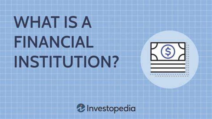 What does it mean when they say financial institution?