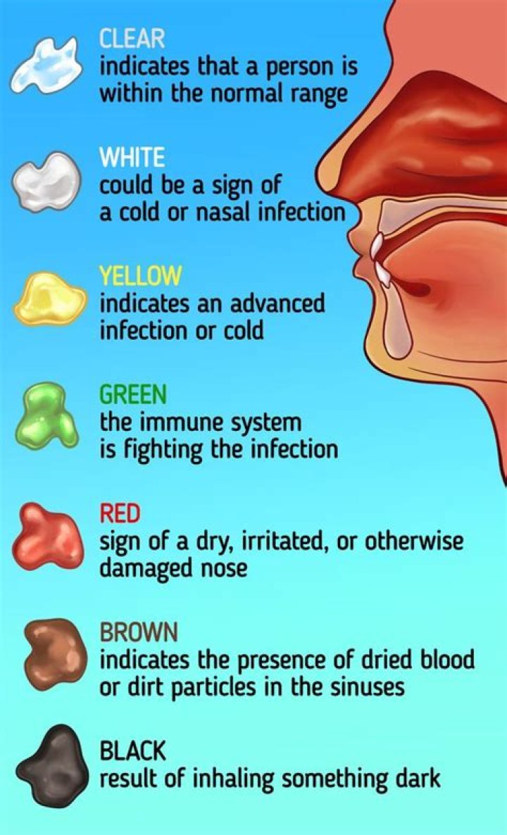 What does it mean when your nose runs clear liquid?