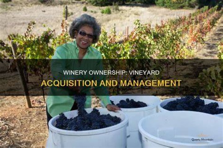 What does it take to own a winery?