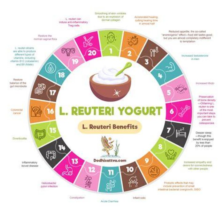 What does L. reuteri do for you?