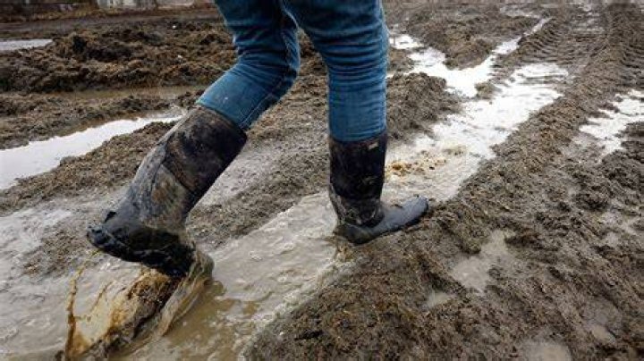 What does like a wheel in the mud mean?