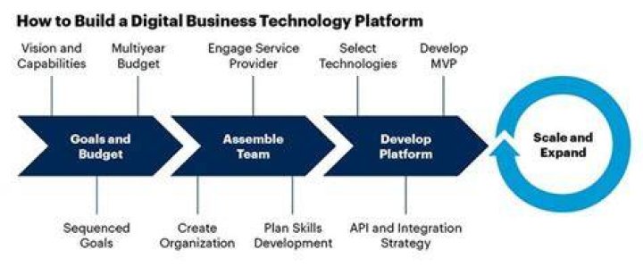 What does platform software include?