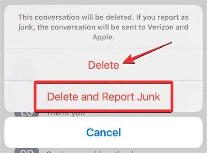 What does report junk mean?