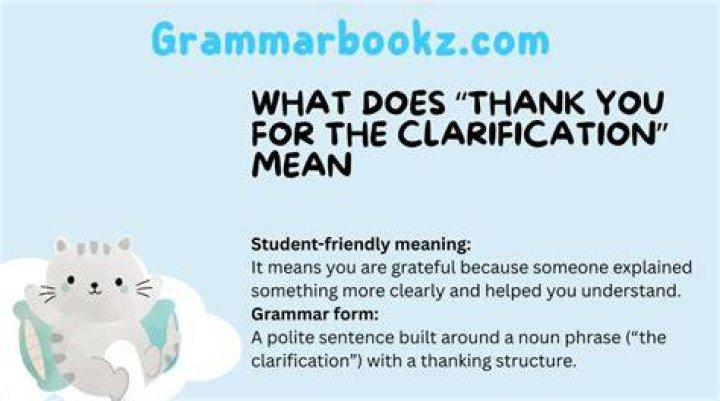 What does requesting clarification mean?