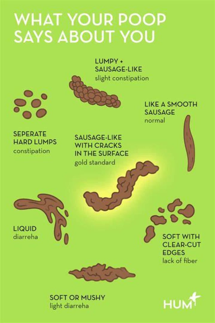What does shredded poop mean?