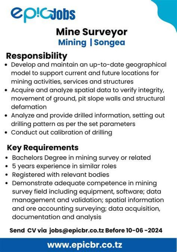 What does surveyor do in mining?