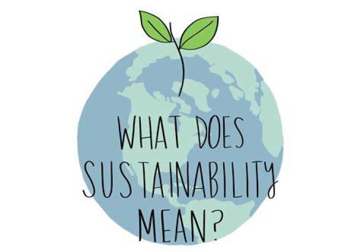 What does sustainability mean to you essay?