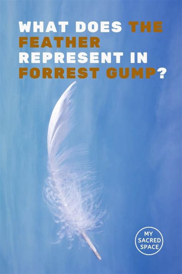 What does the feather symbolize in Forrest Gump?