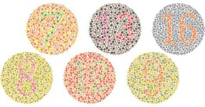 What does the Ishihara test test for?