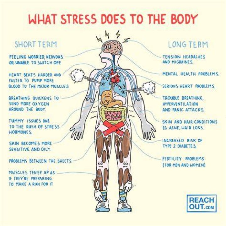 What does toxic stress do to the body?