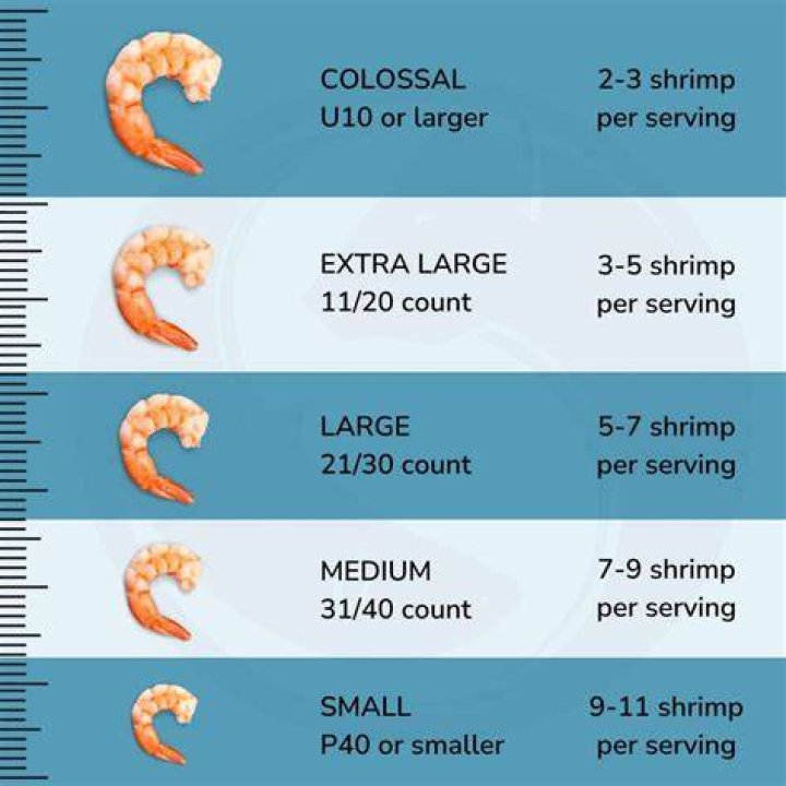 What does u20 shrimp mean?