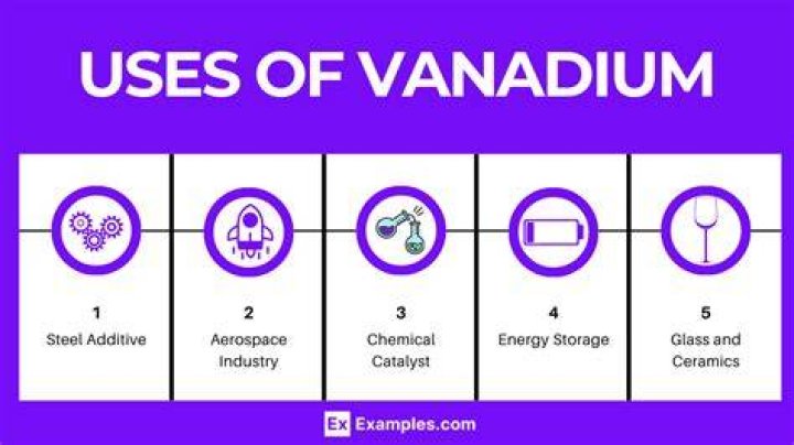 What does vanadium do to your body?