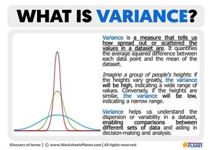 What does variance granted mean?