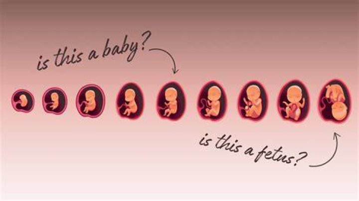 What does yelling do to an unborn baby?
