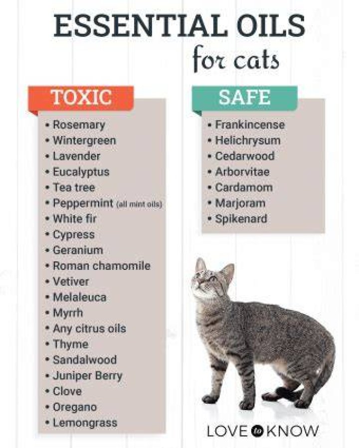 What essential oils are safe for cats?