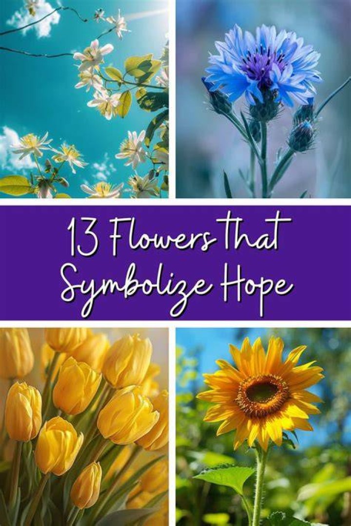 What flowers mean hope?