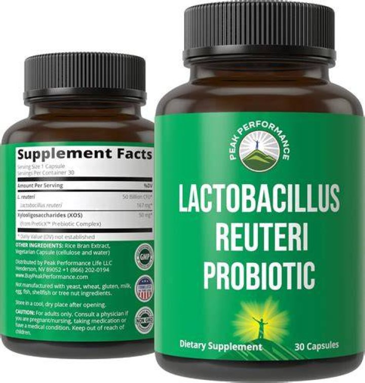 What food has the most Lactobacillus reuteri?