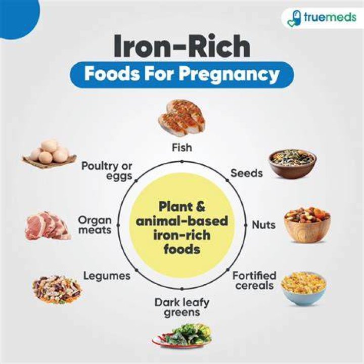 What foods are high in iron for pregnancy?