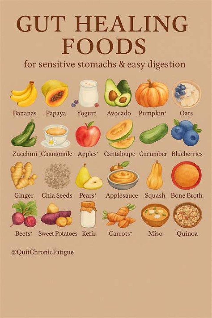 What foods repair gut health?