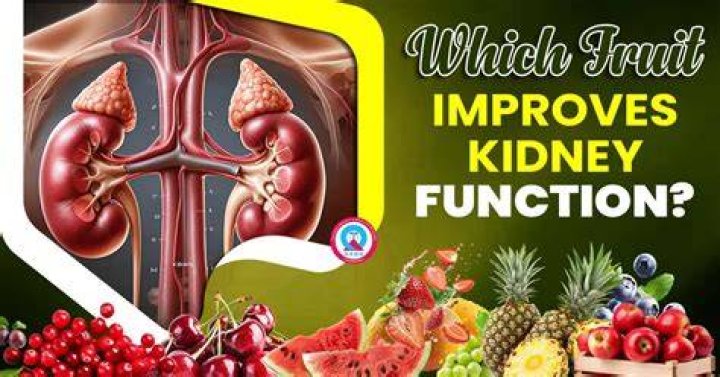 What fruits improve kidney function?
