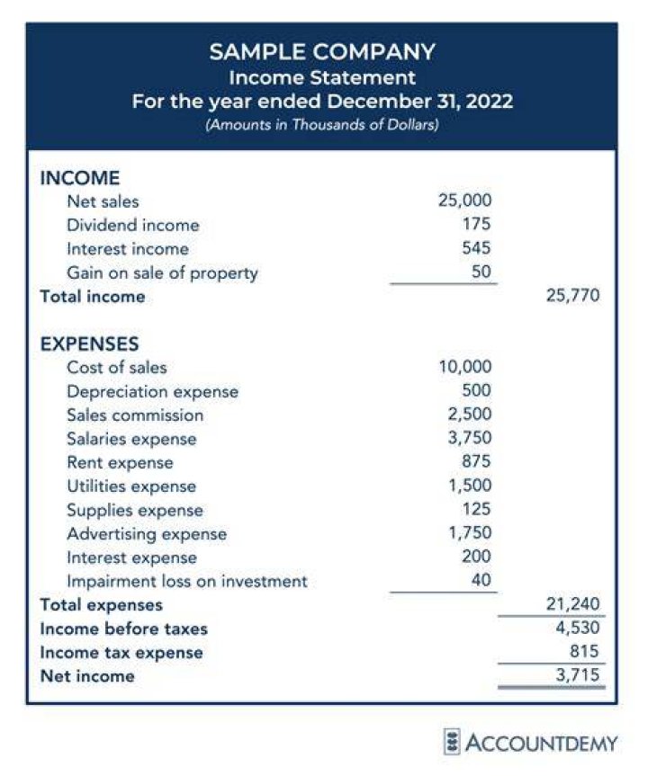 What goes under expenses on an income statement?