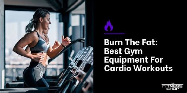 What gym equipment burns the most fat?