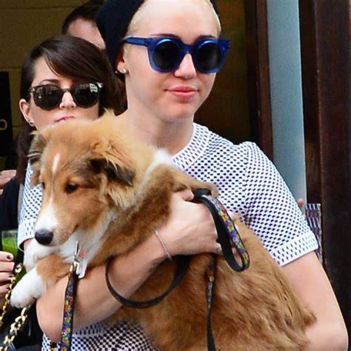 What happened to Miley's dog Floyd?