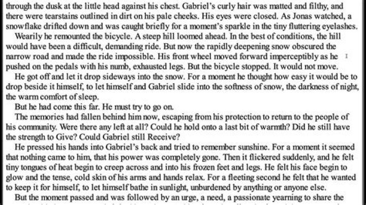 What happened to the bicycle in The Giver Chapter 23?