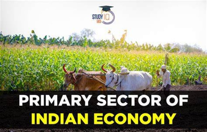 What happened to the farming industry?