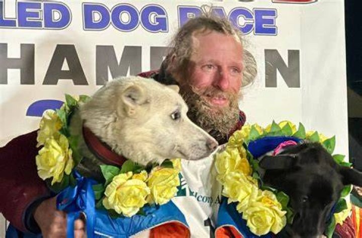 What happened with Jesse Holmes dogs?