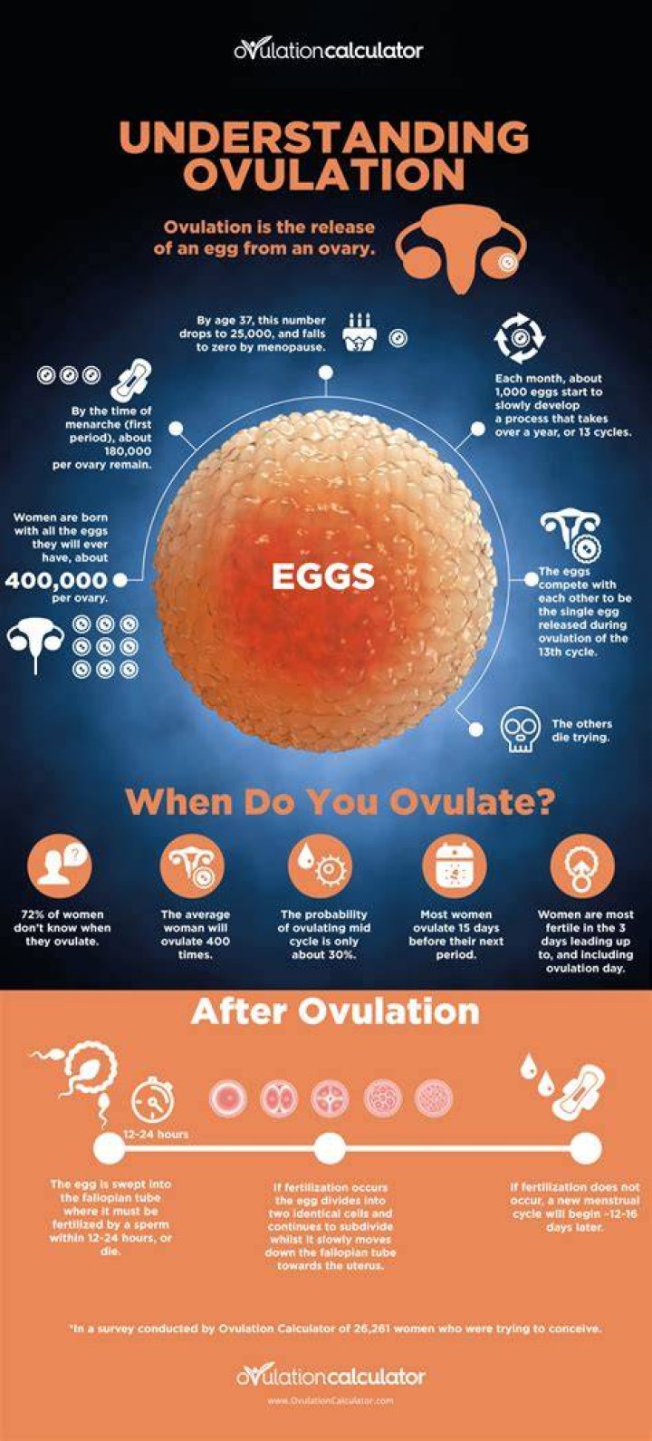 What happens after ovulation if you are not pregnant?