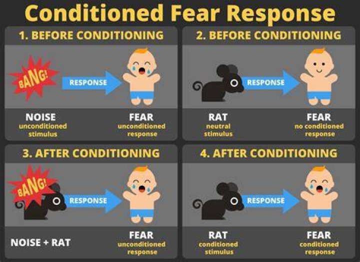 What happens during conditioning?
