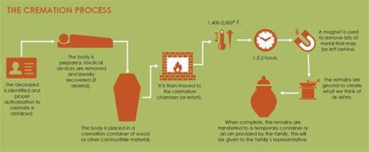 What happens during cremation?