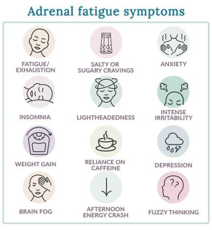 What happens if adrenal fatigue goes untreated?