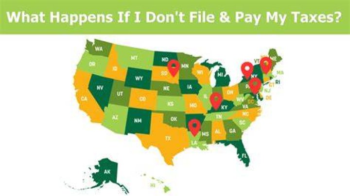 What happens if I double pay my taxes?