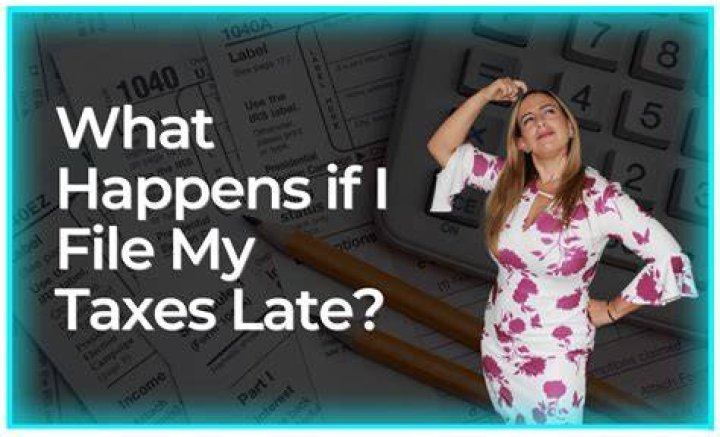 What happens if I file my taxes twice by accident?