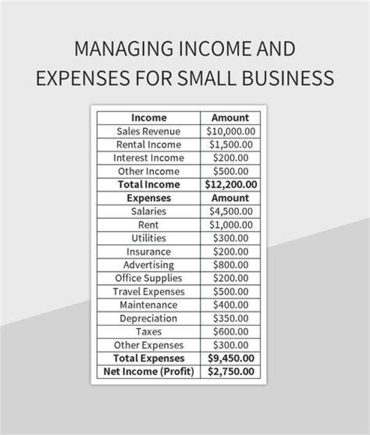 What happens if my business expenses exceed my income?