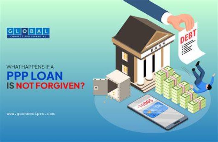 What happens if PPP loan is not used?