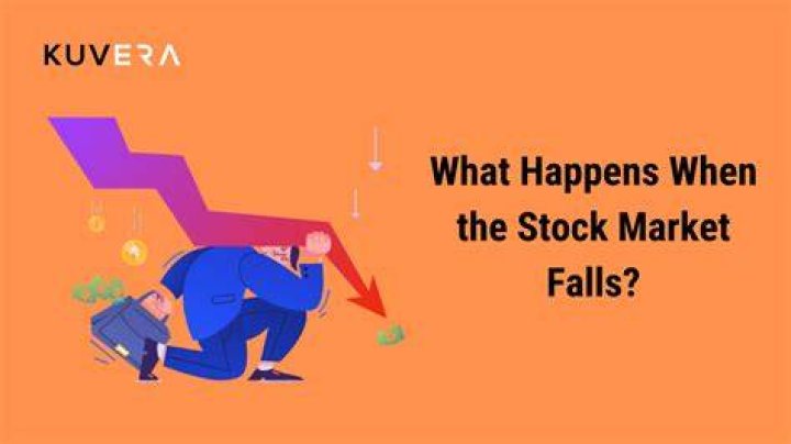 What happens if stock goes down 100%?