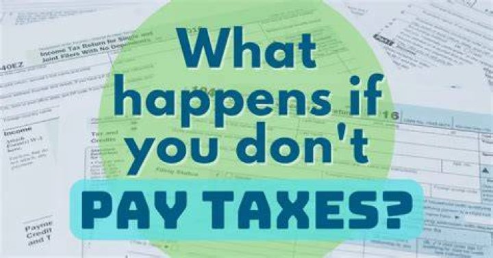 What happens if you accidentally dont pay taxes?
