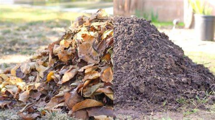 What happens if you bury leaves?