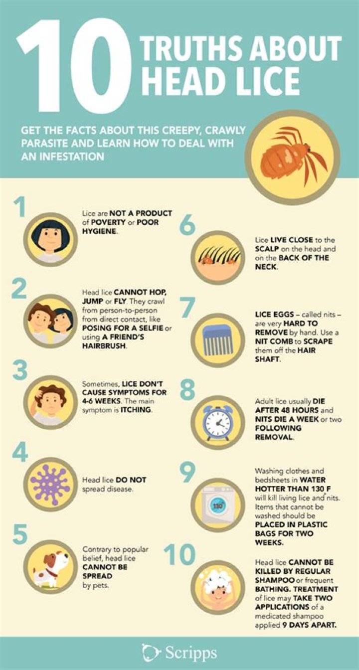 What happens if you have lice for a year?